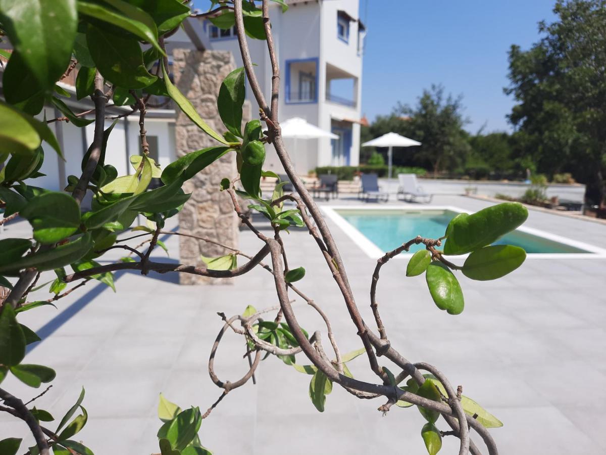 Villa Juliet Kothonikion Exterior photo